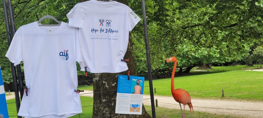 Photo de le zoo de Branféré avec les tee-shirt de l'association