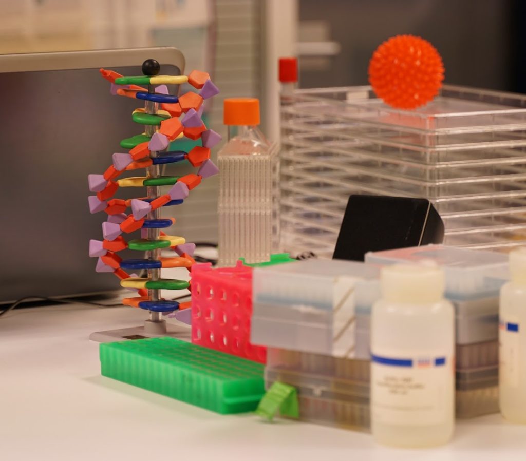 Photo lors dans un laboratoire